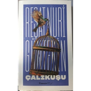 ÇALIKUŞU