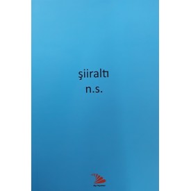 ŞİİRALTI