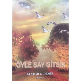 ÖYLE SAY GİTSİN