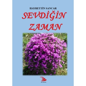 SEVDİĞİN ZAMAN
